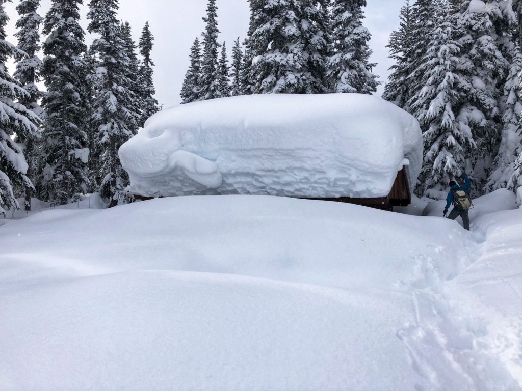 Taylor Meadows Day Shelter Winter