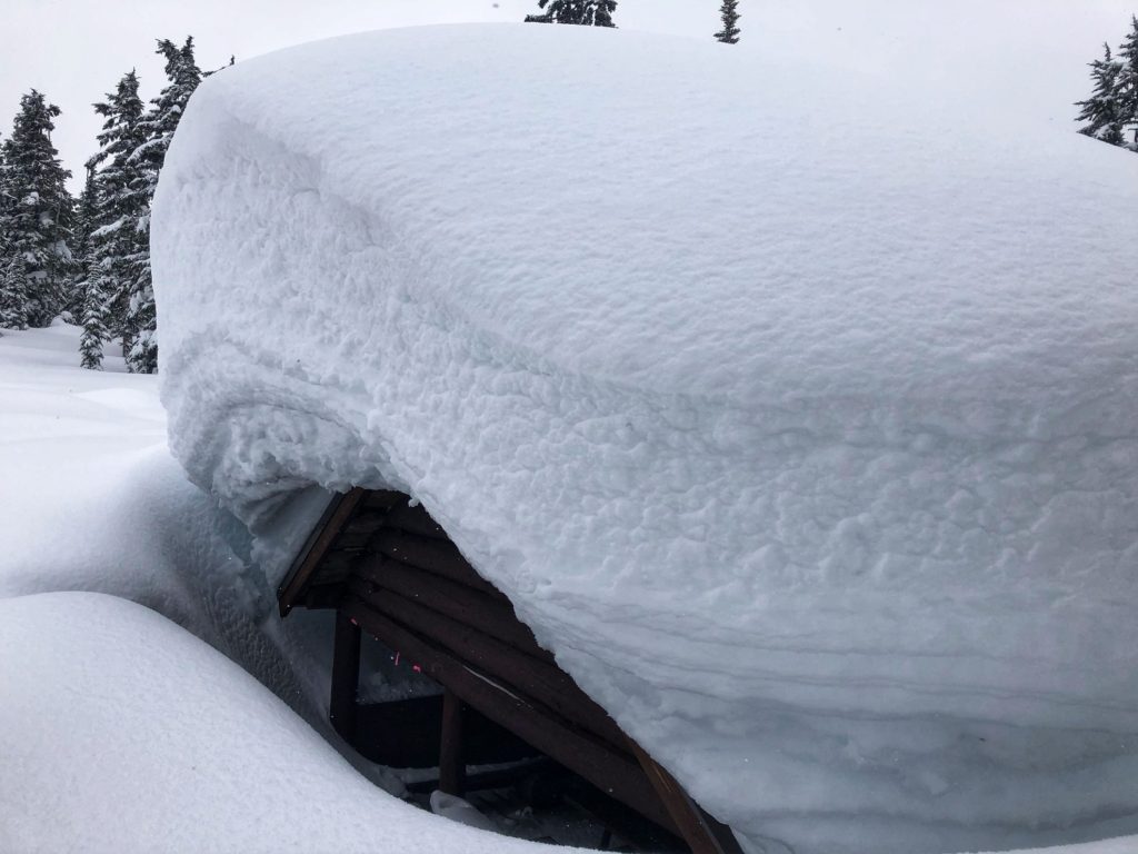 Logger's Cabin at Taylor Meadows in Winter