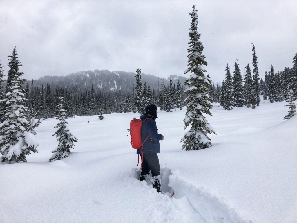 Logger's Cabin at Taylor Meadows