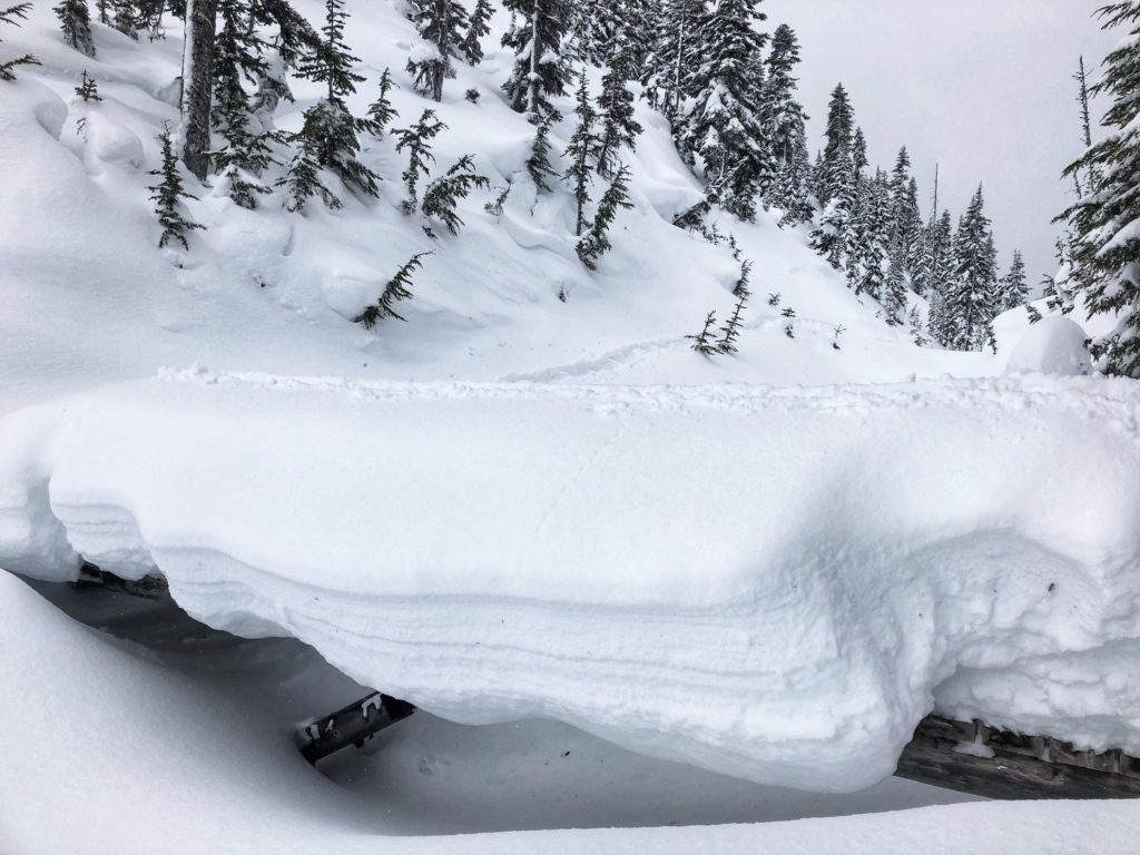 Garibaldi Lake Winter