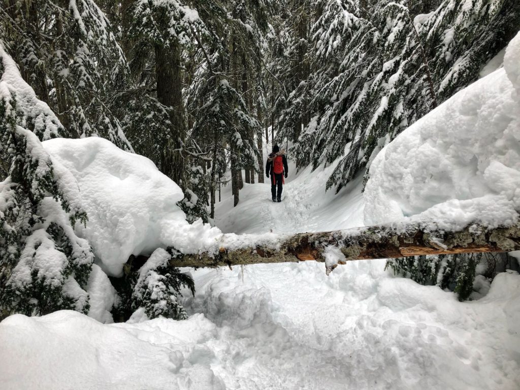 Garibaldi Lake Trail Winter