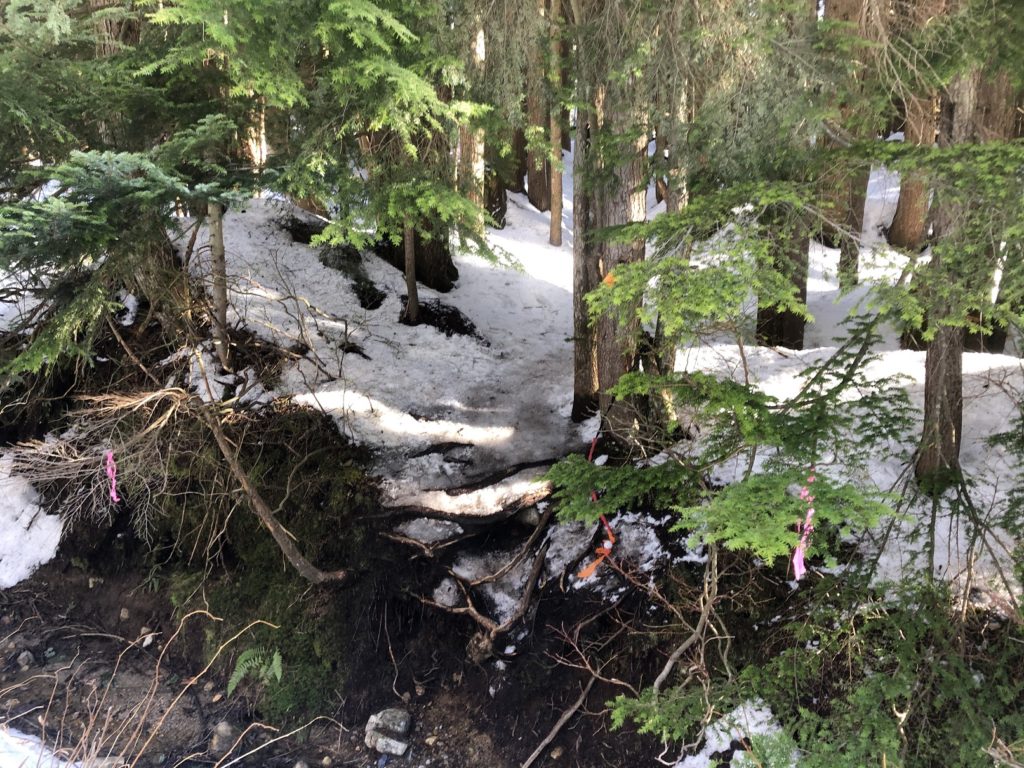 Mount Fromme Winter Hike