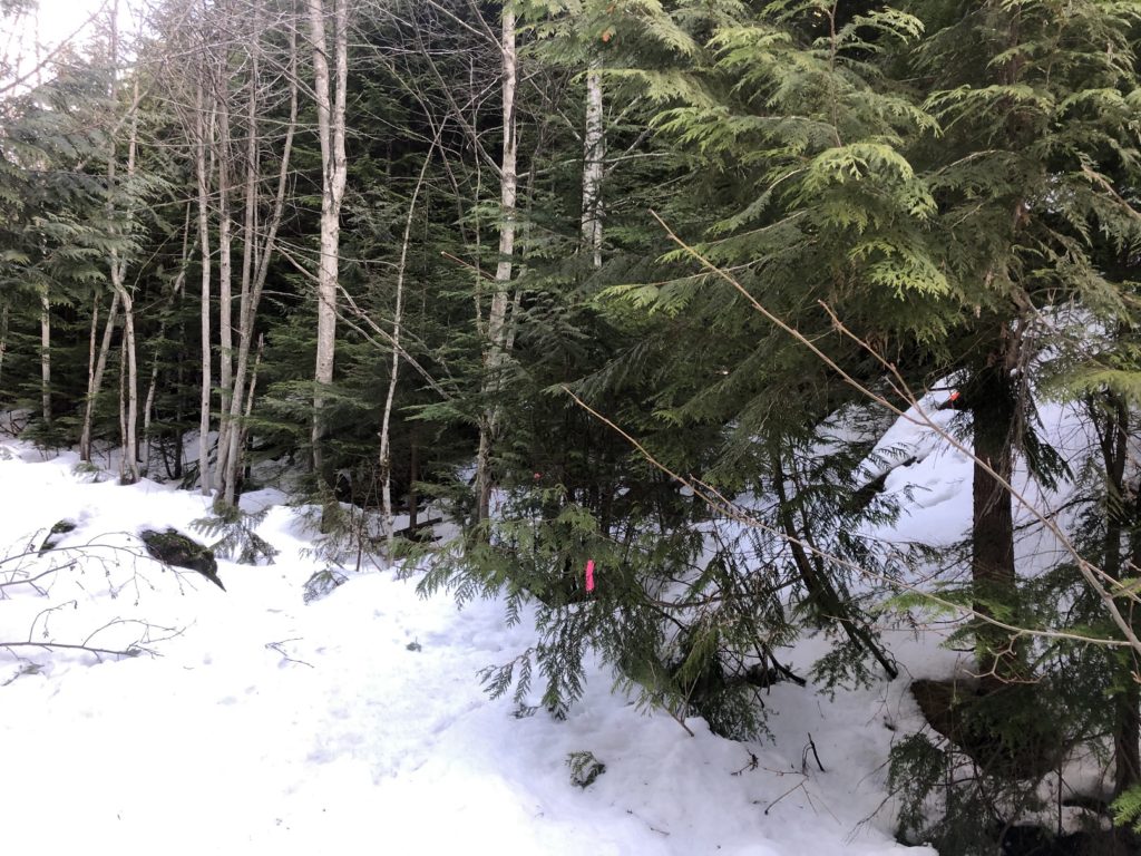 Mount Fromme Winter Hike
