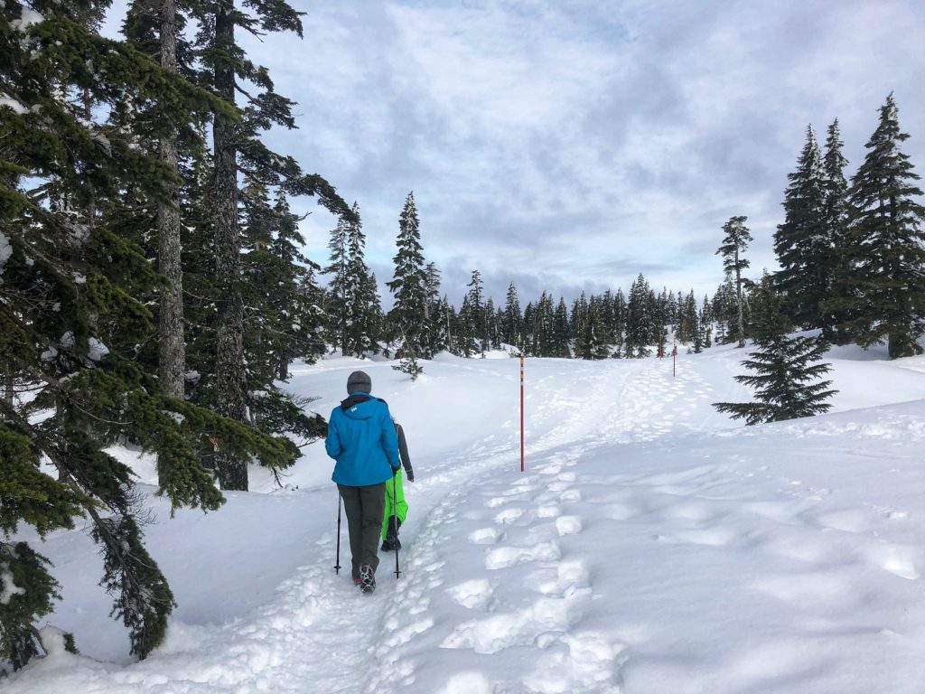Black Mountain Winter Hike Snowshoeing