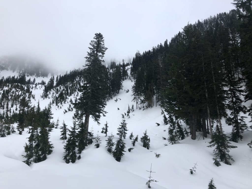 Mount Strachan Hike in Winter via Christmas Gully