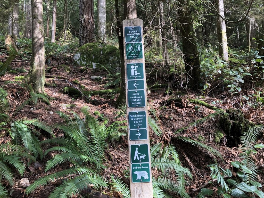 Sugar Mountain Hike in Belcarra Regional Park
