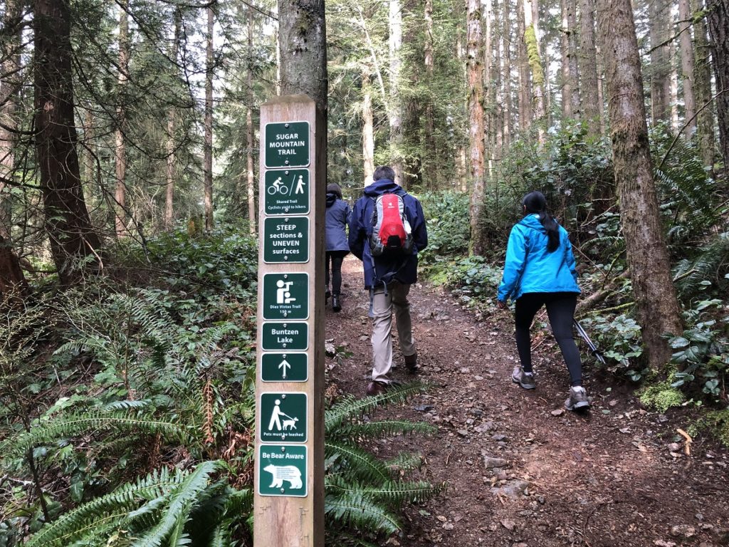 Sugar Mountain Hike in Belcarra Regional Park