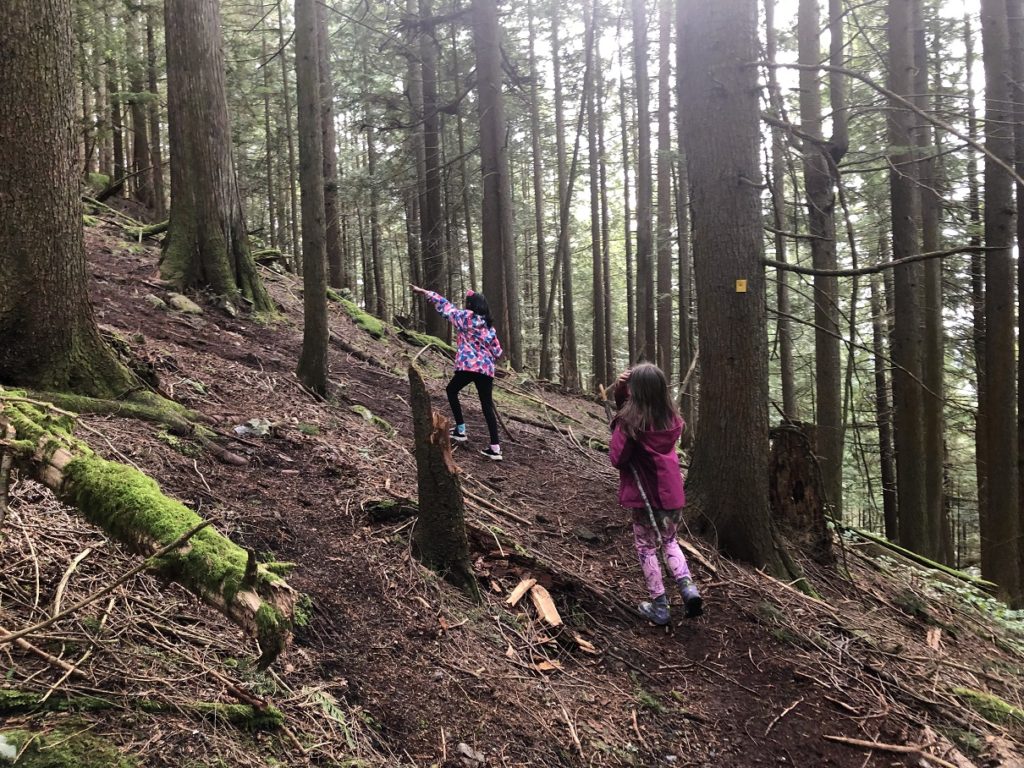 Sugar Mountain Hike in Belcarra Regional Park