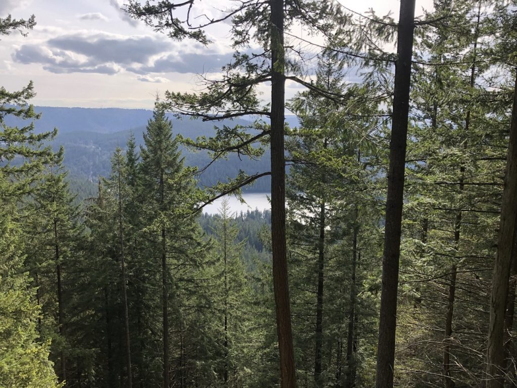 Sugar Mountain Hike in Belcarra Regional Park