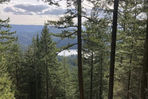 Sugar Mountain Lookout