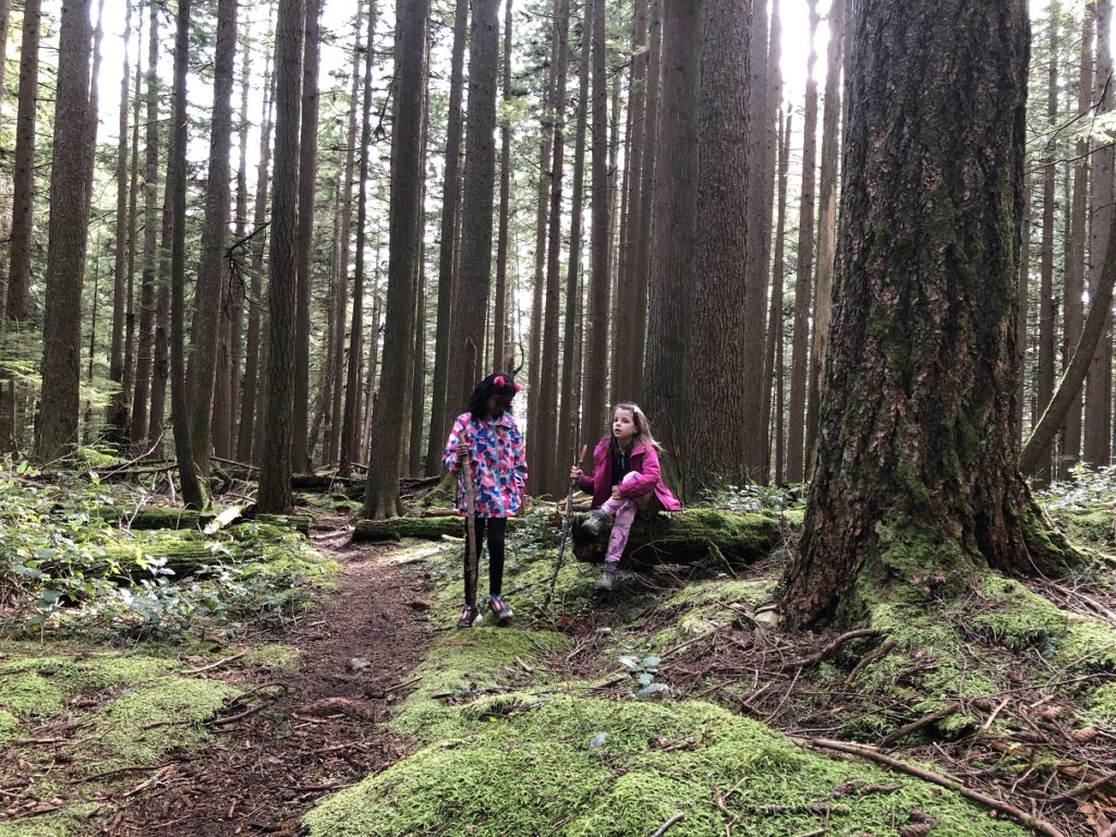 Sugar Mountain Hike in Belcarra Regional Park
