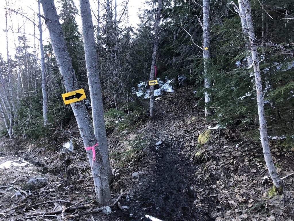 Wedgemount Lake Spring