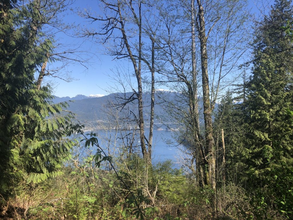 Burnaby Mountain Hike