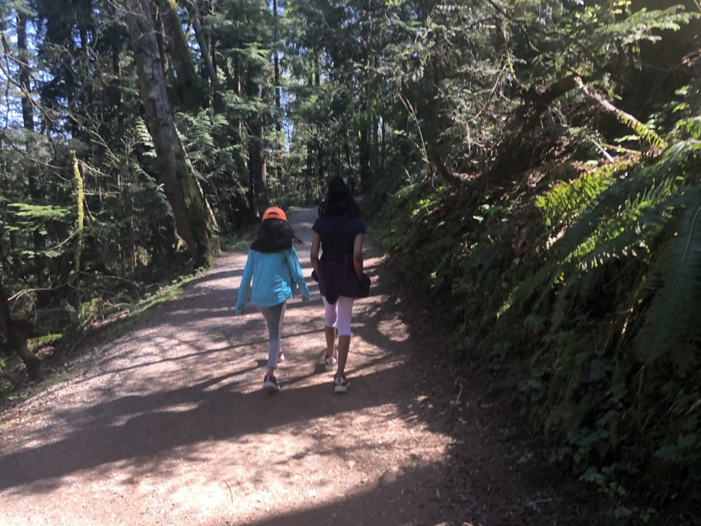 Burnaby Mountain Hike