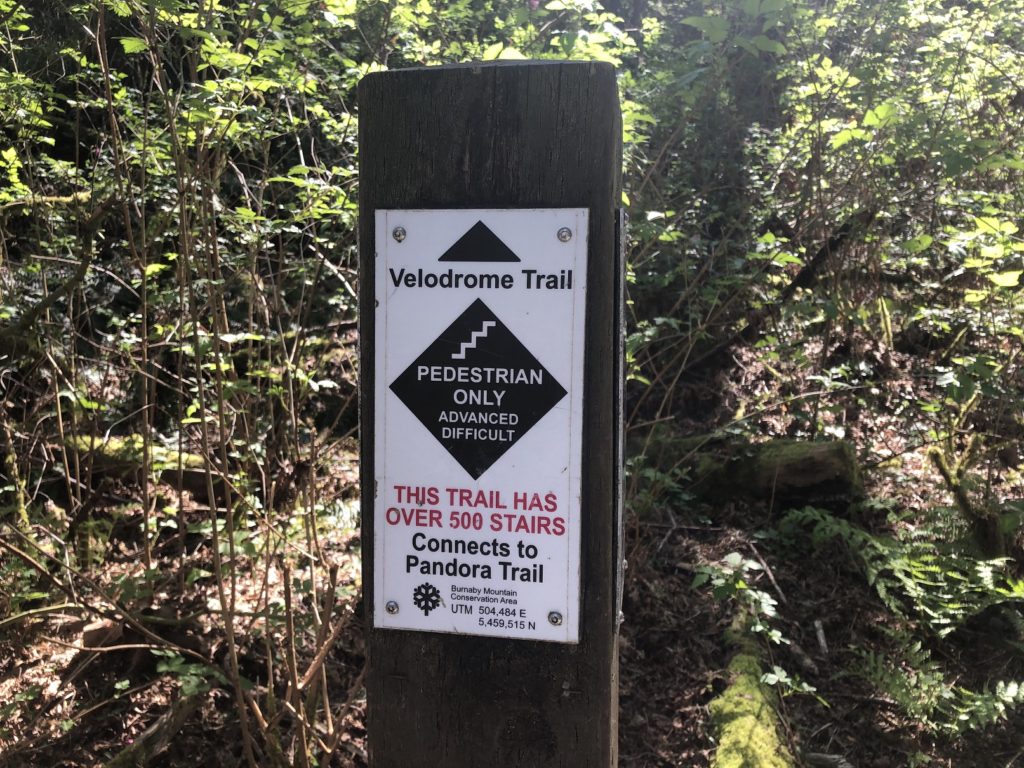 Burnaby Mountain Hike - Velodrome Trail