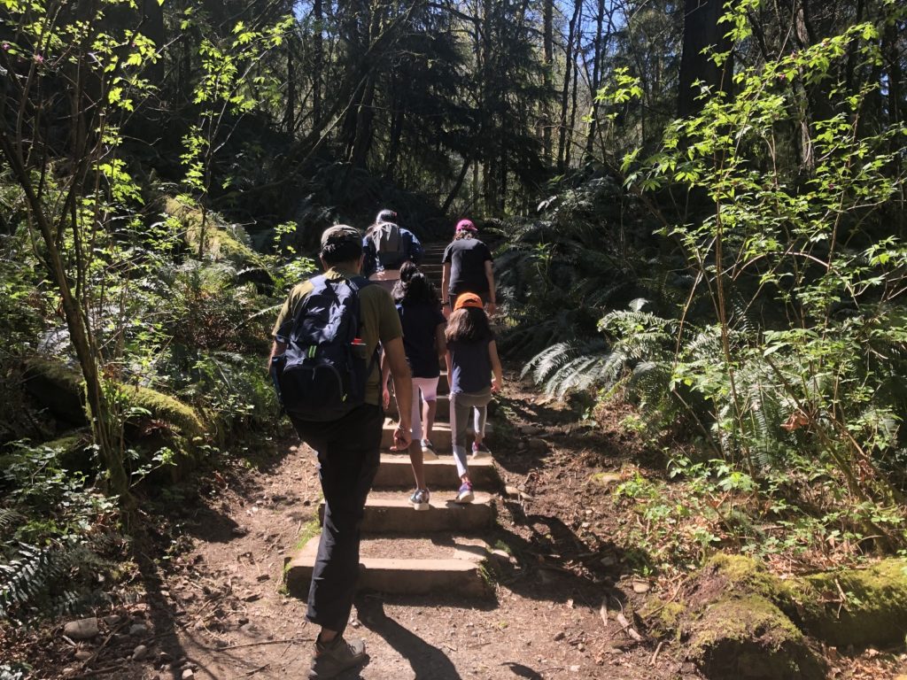 Burnaby Mountain Hike - Velodrome Trail
