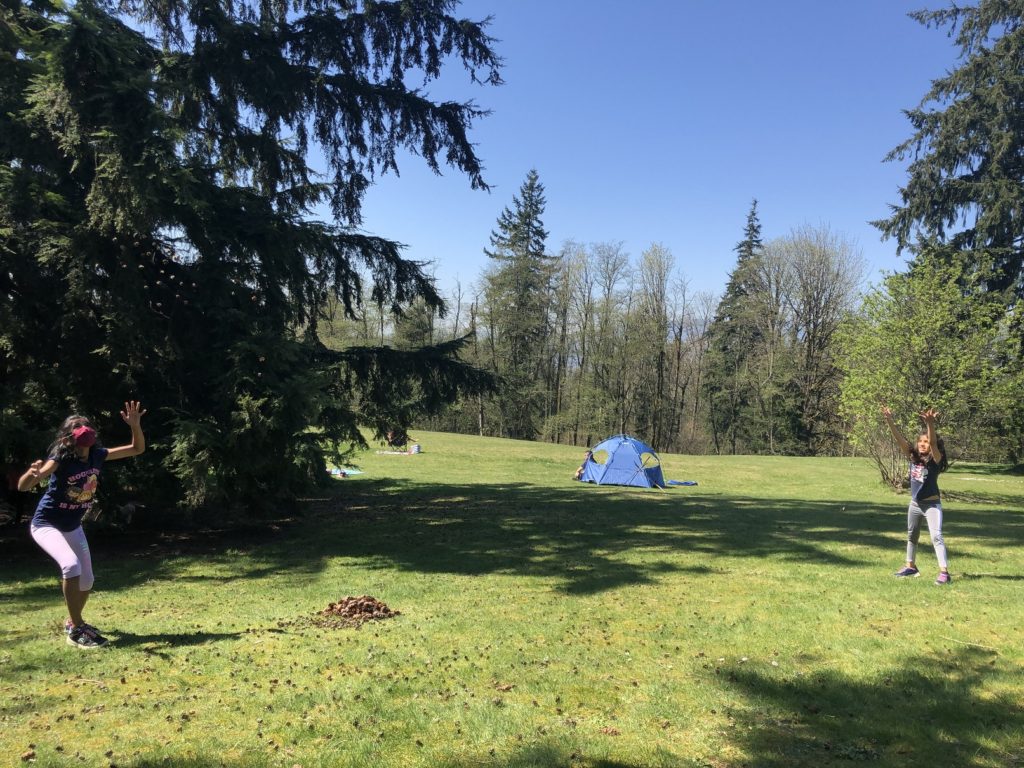 Burnaby Mountain Park