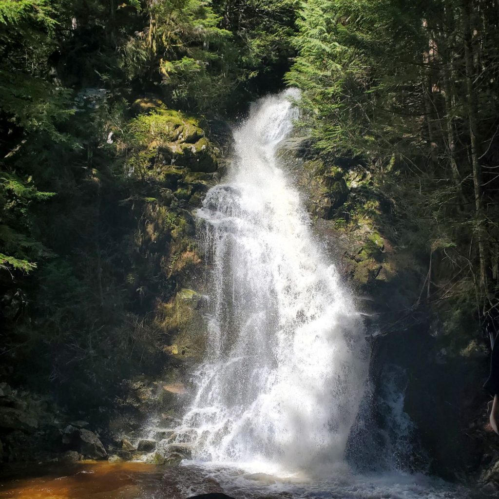 Sawblade Falls Hike