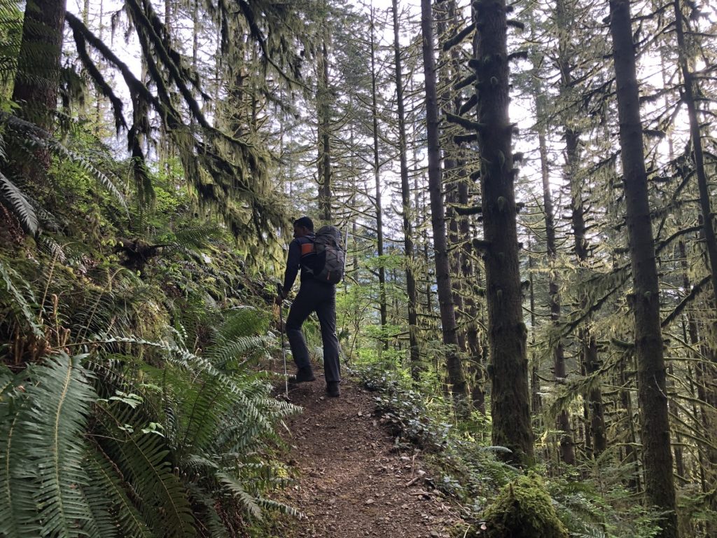 Viewpoint Trail - Evans Peak Golden Ears Park