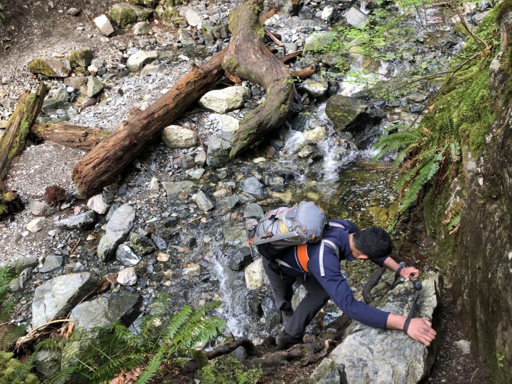 Evans Peak Trail Golden Ears Park