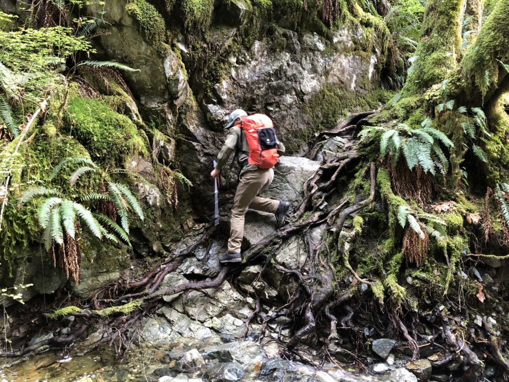 Evans Peak Trail Golden Ears Park