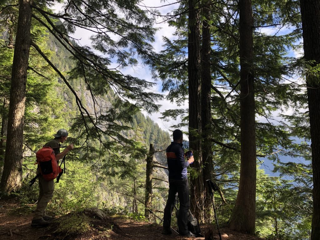 Evans Peak Trail Golden Ears Park