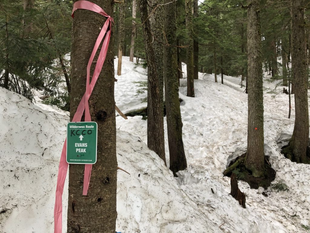 Evans Peak Trail Golden Ears Park