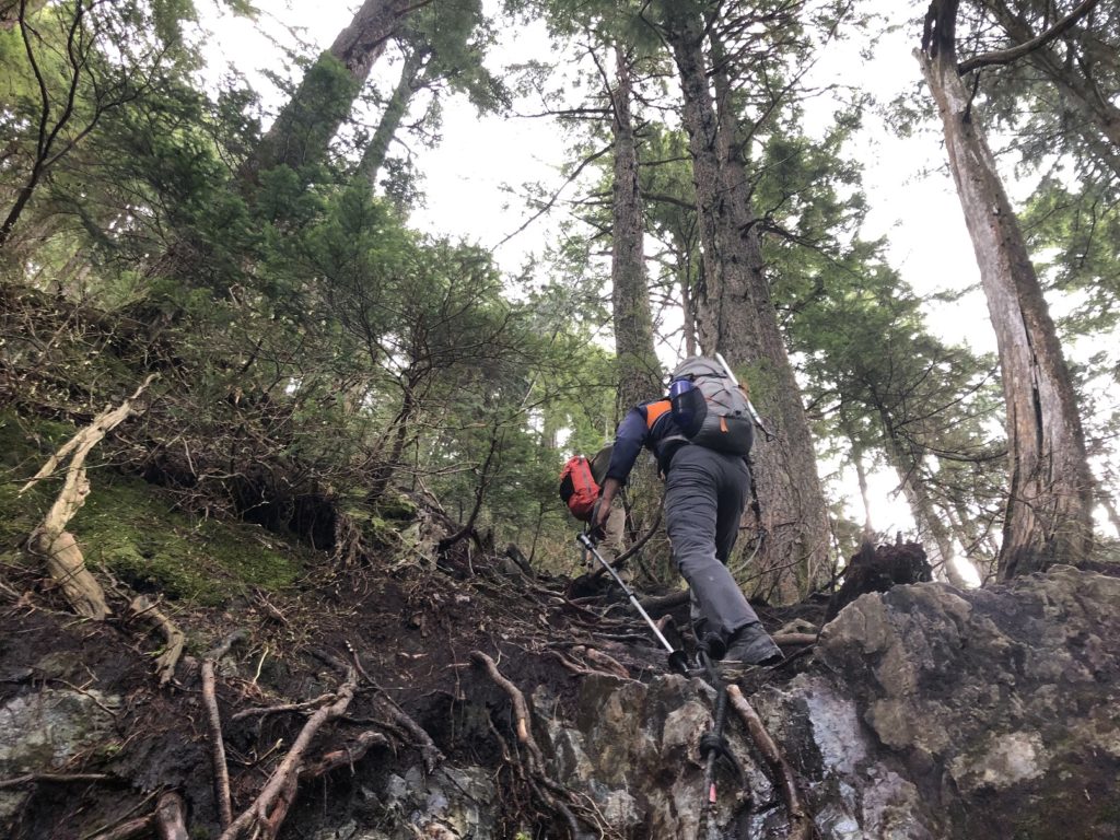 Evans Peak Trail Golden Ears Park