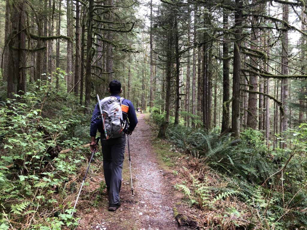 Menzies Trail Golden Ears Park