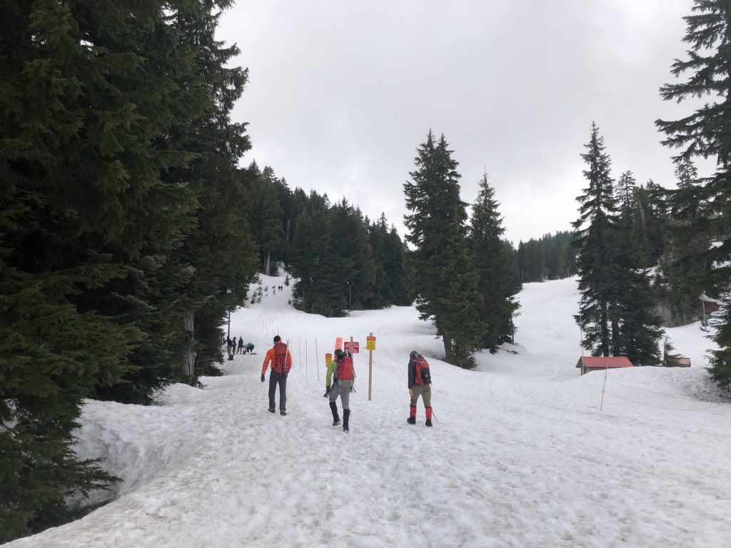 Mount Seymour Trailhead