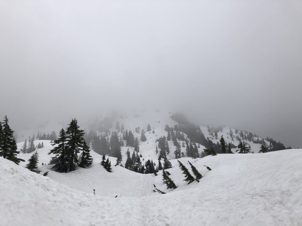 Mount Seymour Trail