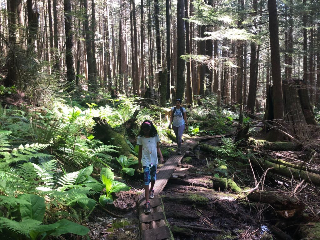 Upper Loop Trail - Sawblade Falls Hike