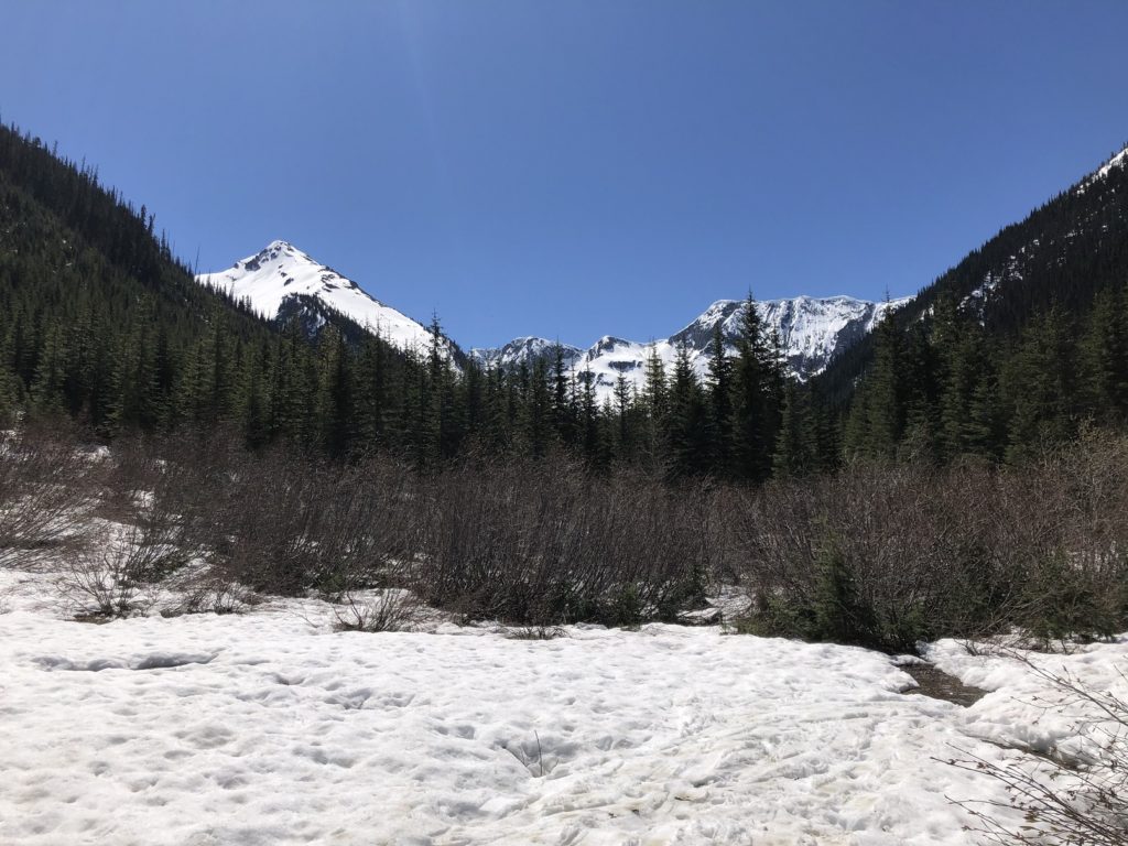 Darkside Lake hike along Steep Creek