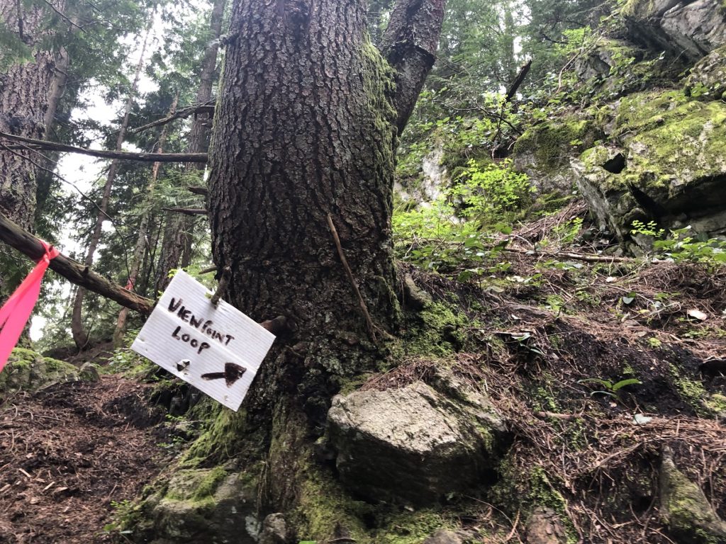 Viewpoint Loop Trail