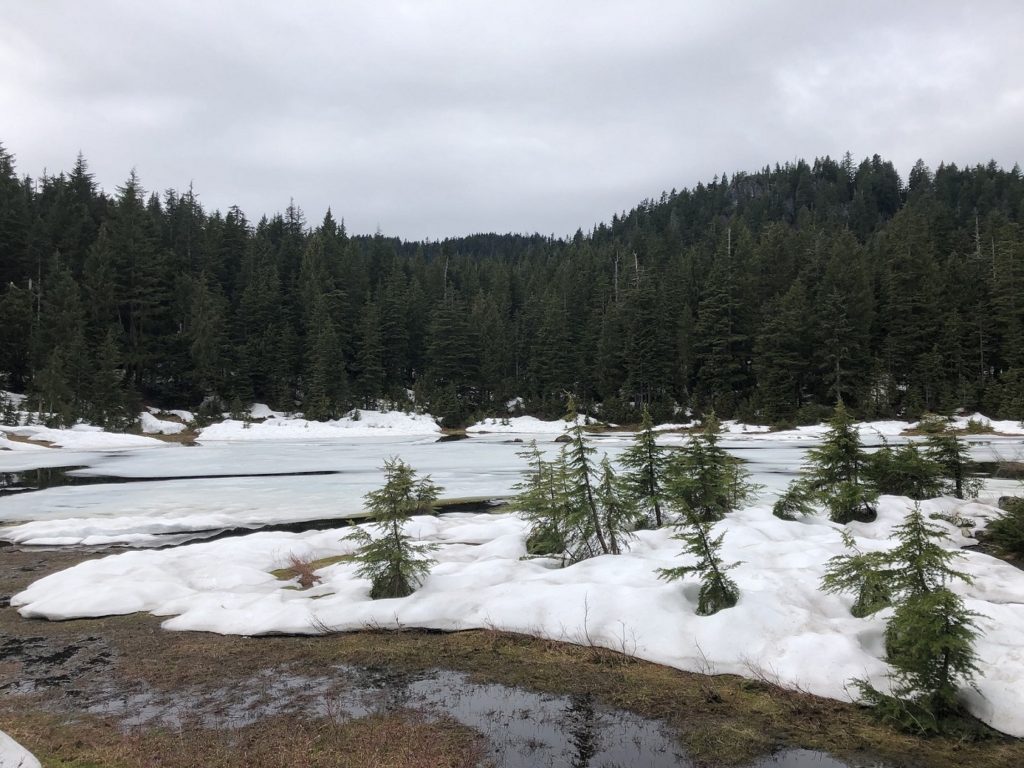 Munro Lake Hike