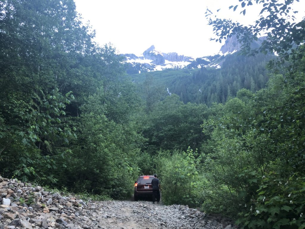 Nesakwatch Creek FSR