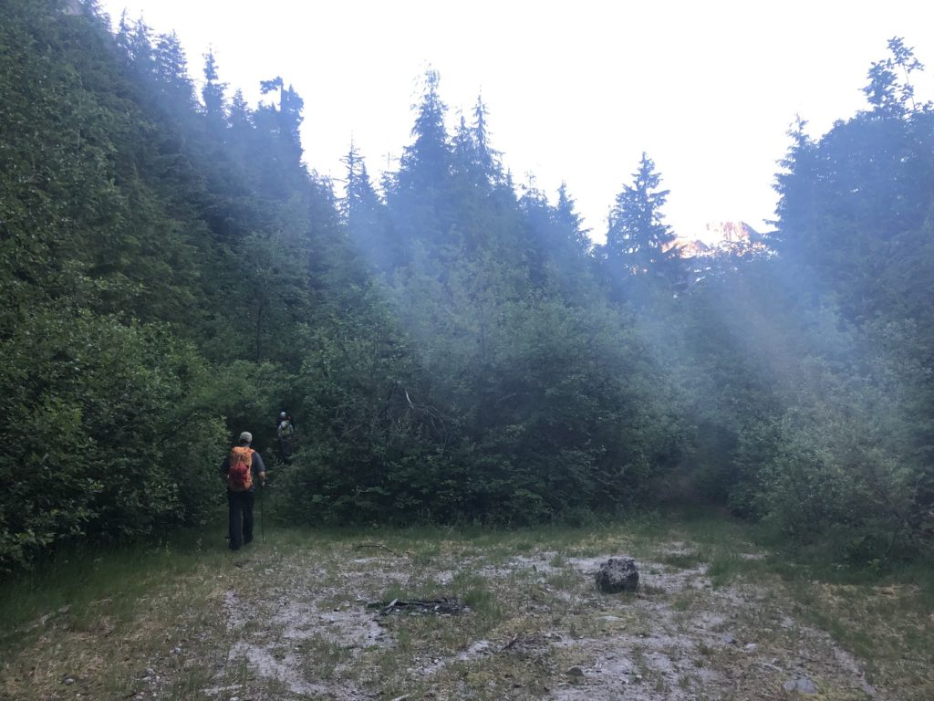 Nesakwatch Creek FSR