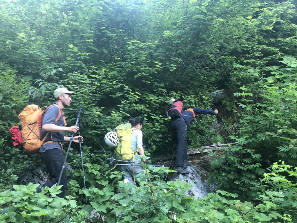 Nesakwatch North Spire Southwest Ridge - Mount Rexford Trail