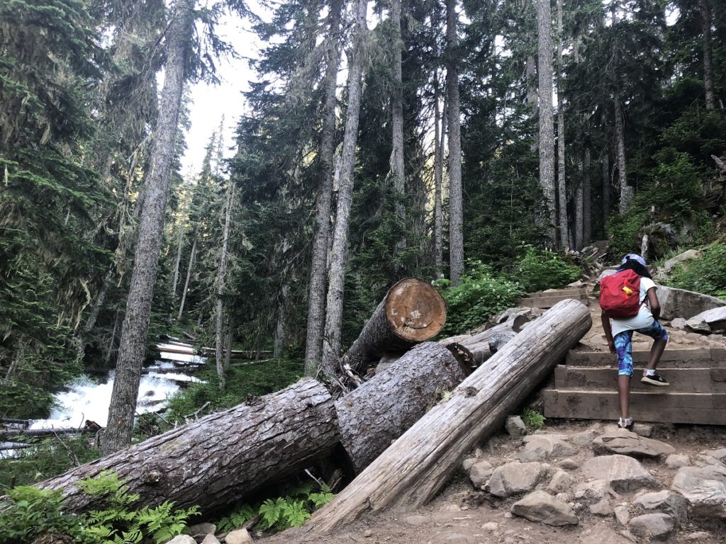 Joffre Lakes Trail