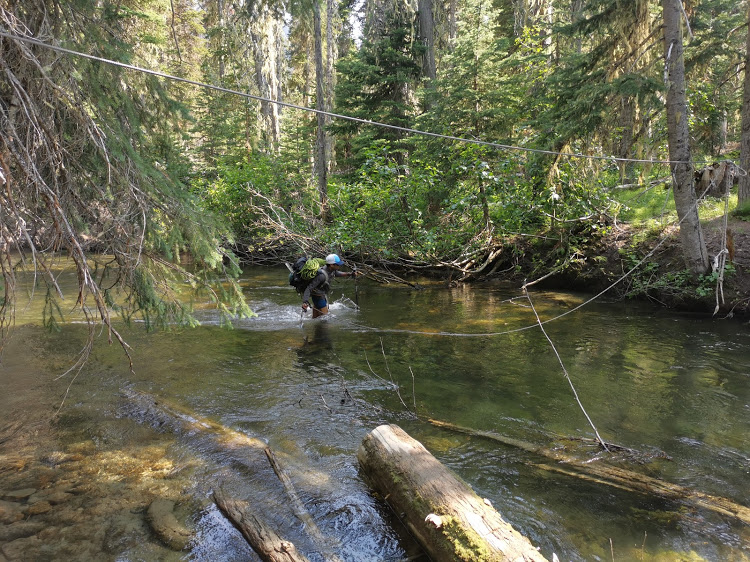 Cerise Creek Summer Trail - Cayoosh Creek