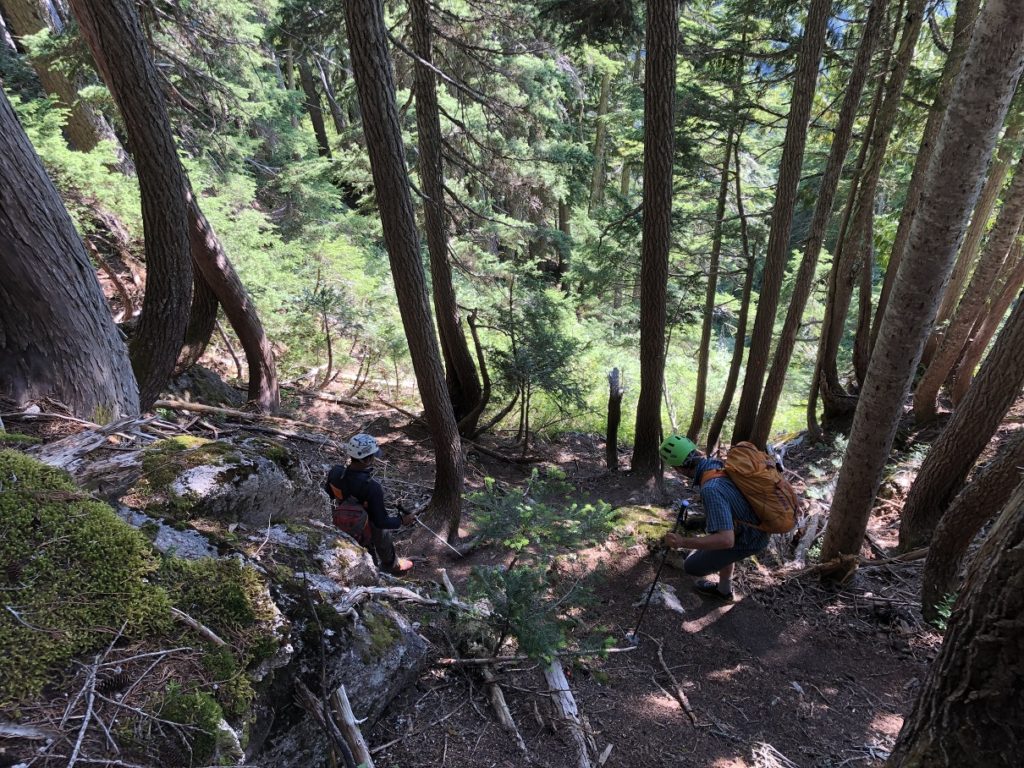 Mount Habrich Escape Velocity