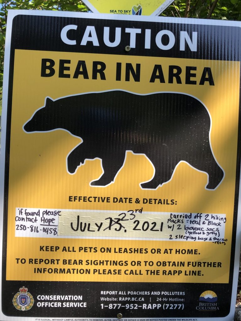 Mount Habrich - Climbers Trail