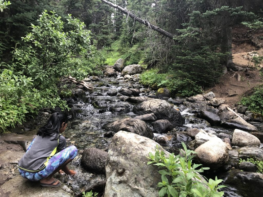 Taylor Meadows Creek