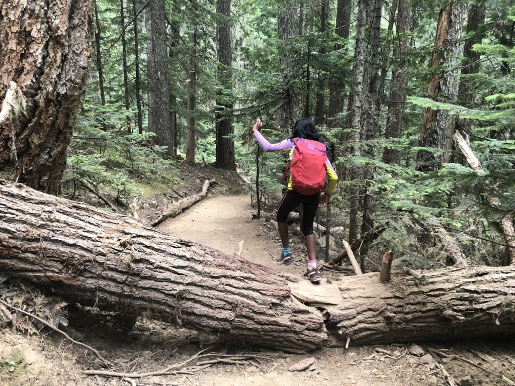 Garibaldi Lake Trail