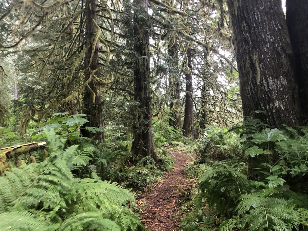 Lake Lovely Water Trail