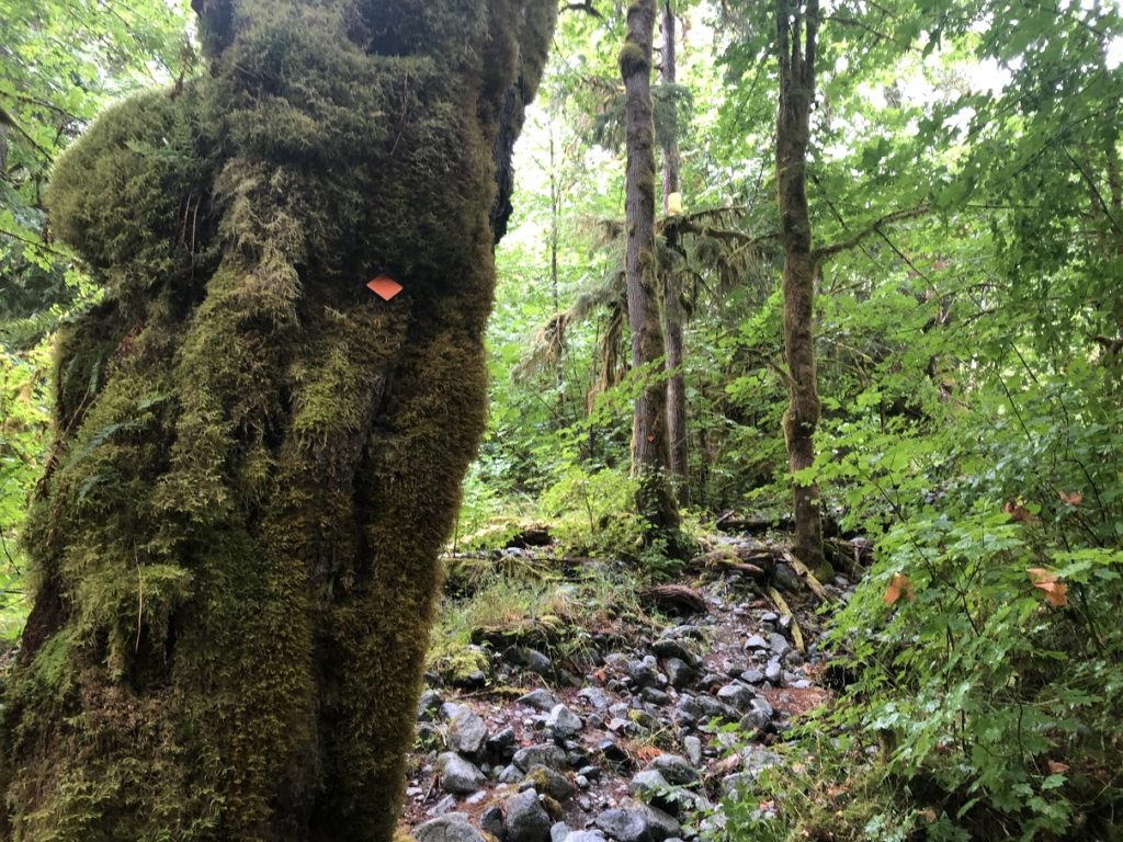 Lake Lovely Water Trail