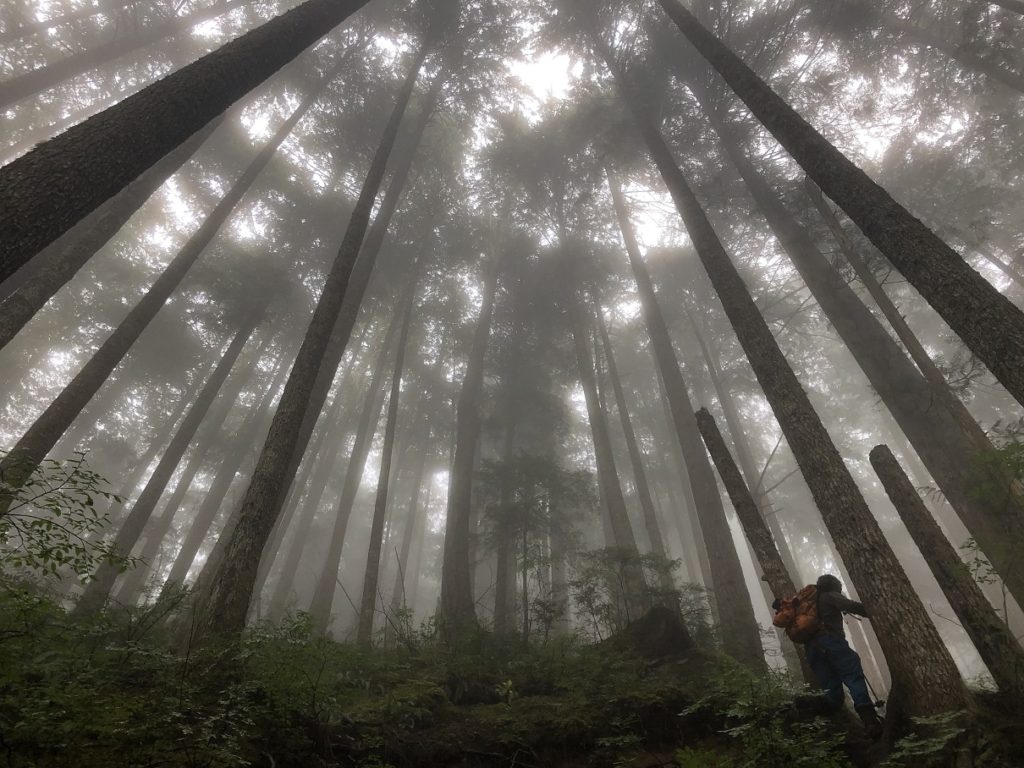 Lake Lovely Water Trail