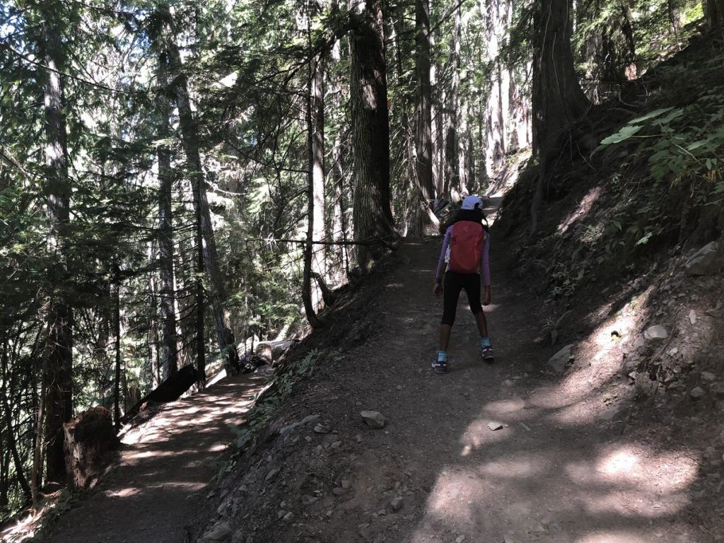 Garibaldi Lake Trail