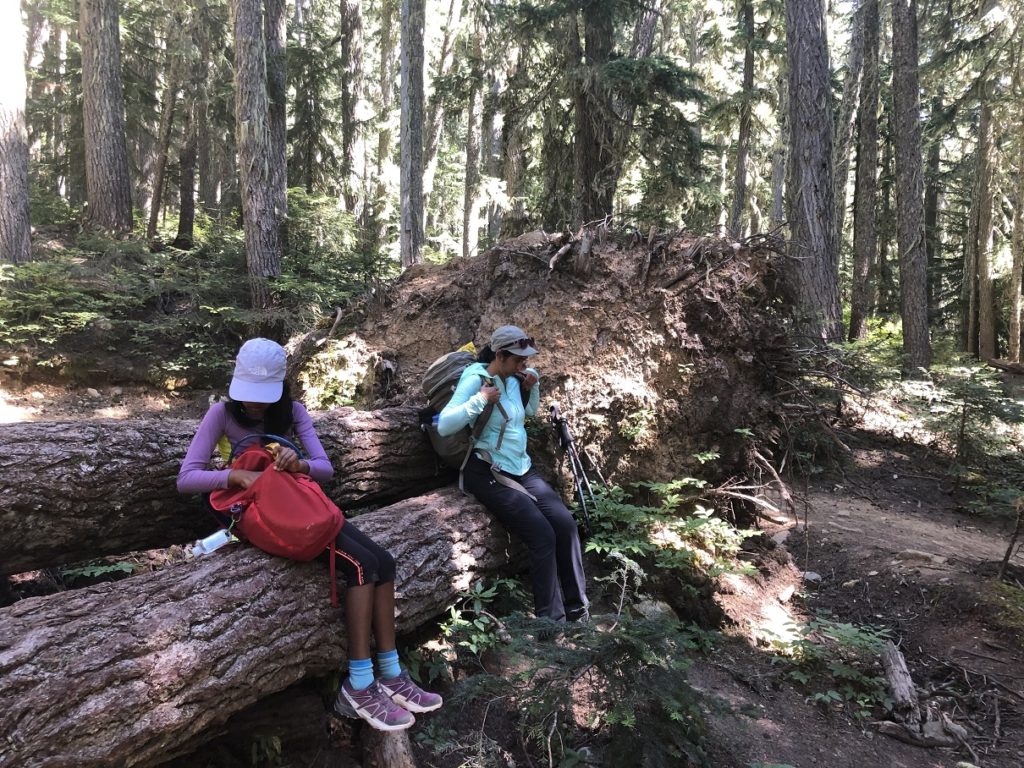 Garibaldi Lake-Taylor Meadows trail junction