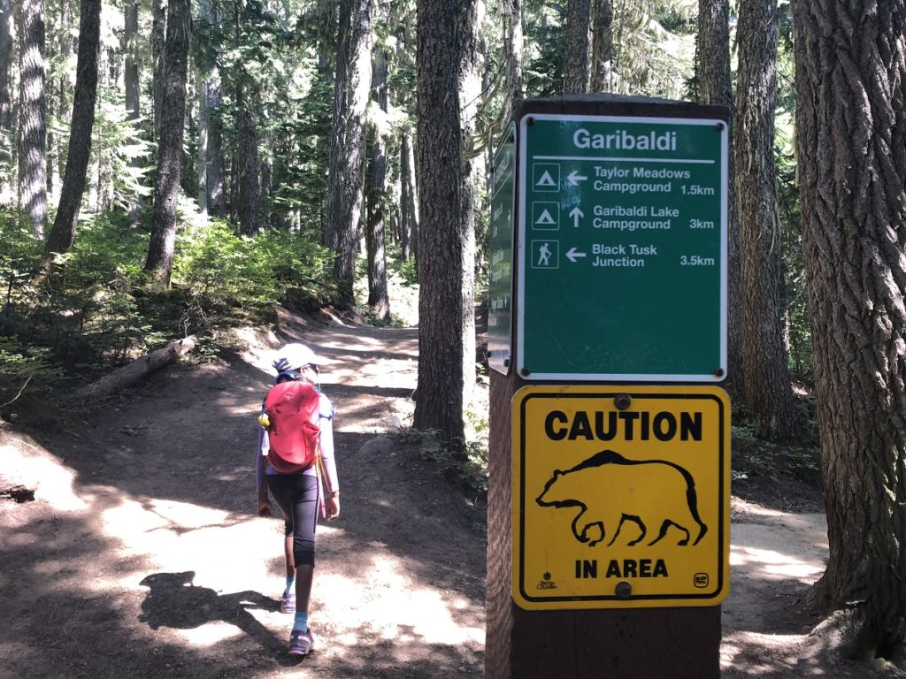 Garibaldi Lake-Taylor Meadows trail junction
